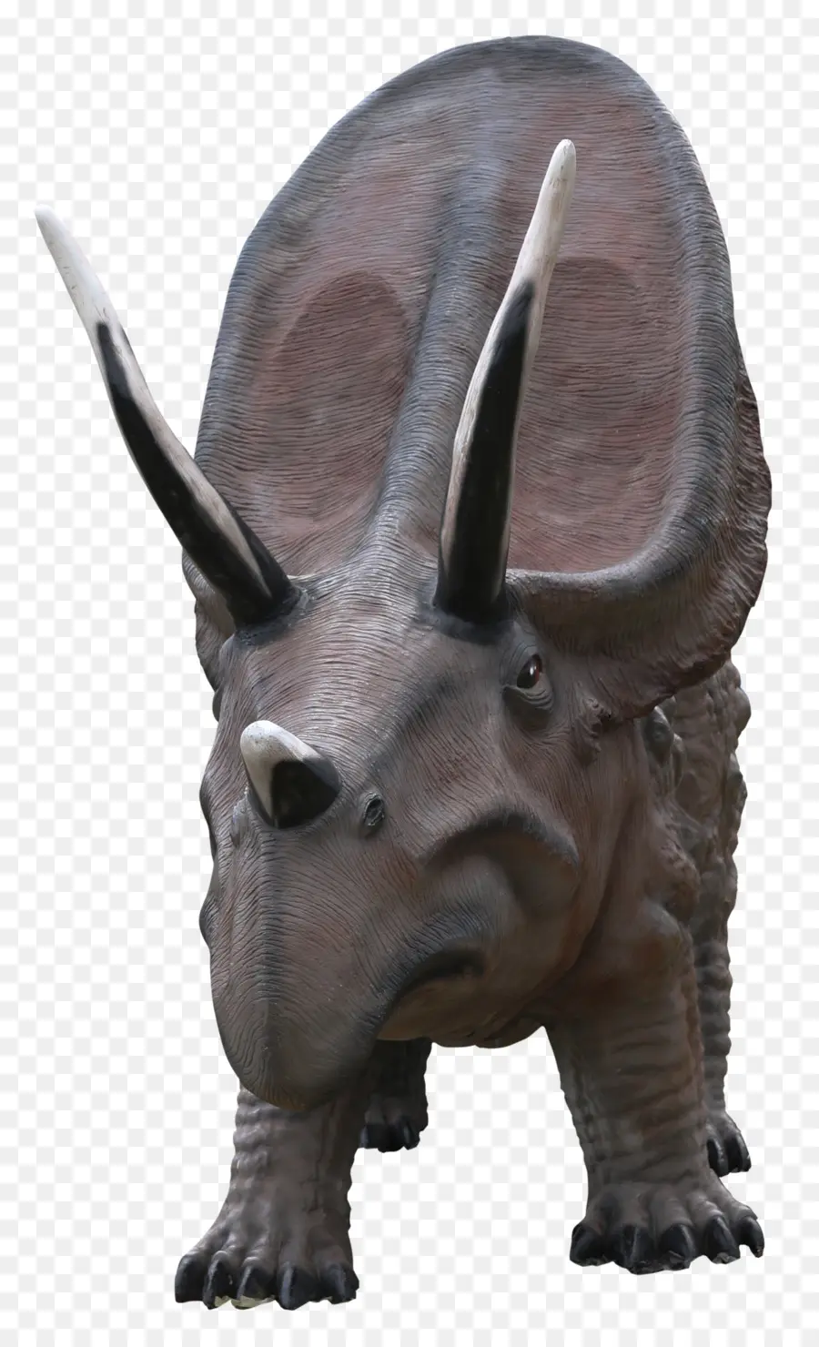 Triceratops，Prehistórico PNG