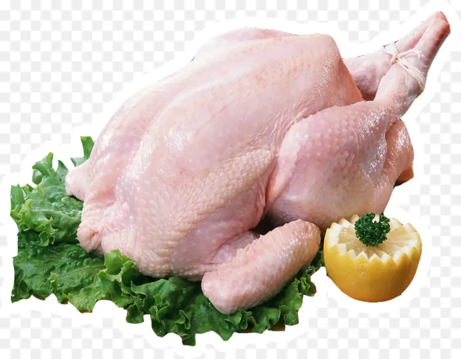 Pollo，Turquía PNG