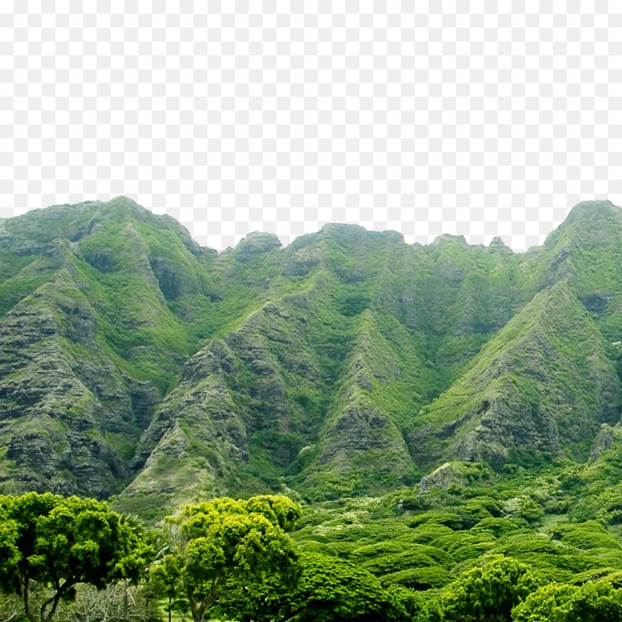 Montañas Verdes，La Montaña PNG