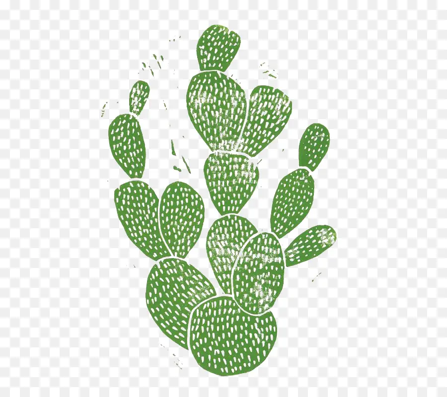 Grabado En Linóleo，Cactaceae PNG