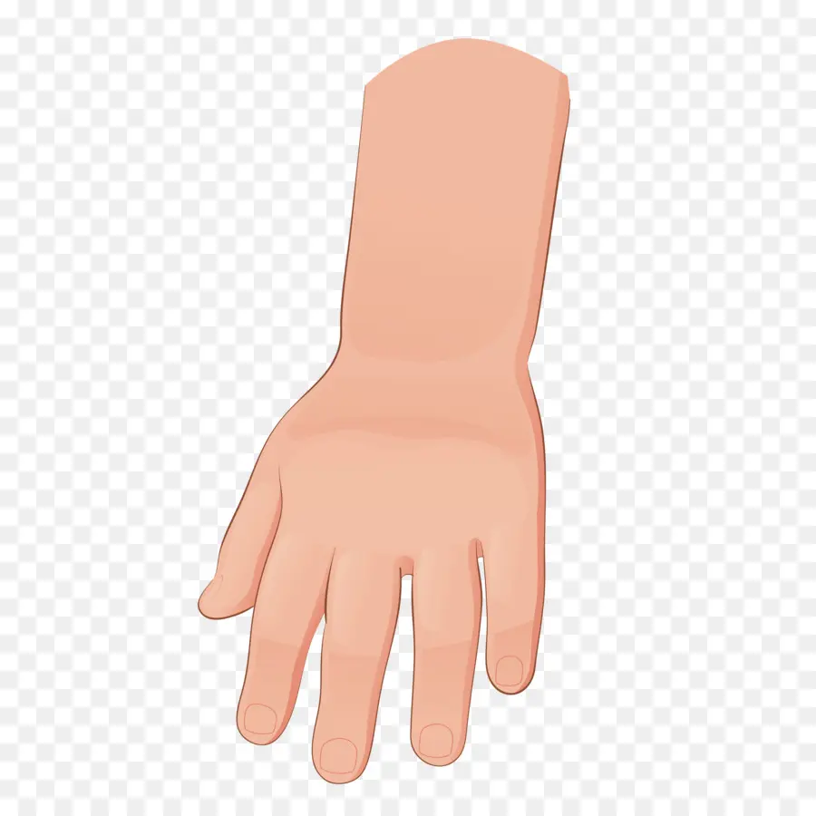 Mano，Dedos PNG