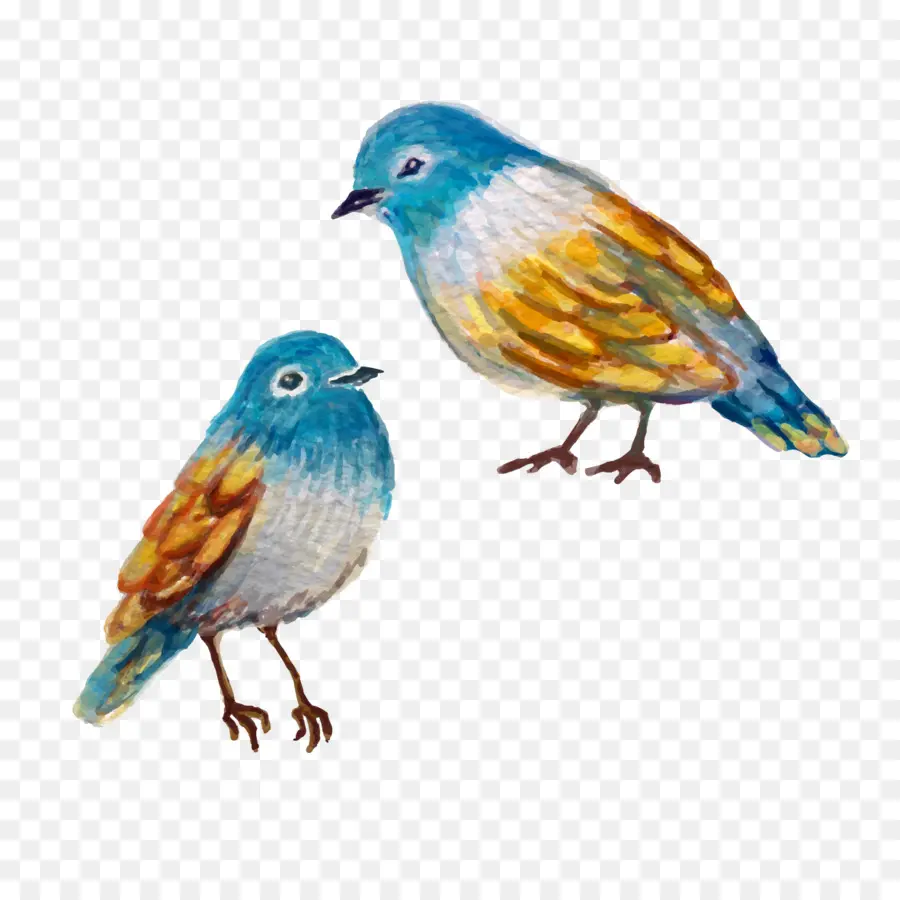 Pájaros Azules，Par PNG