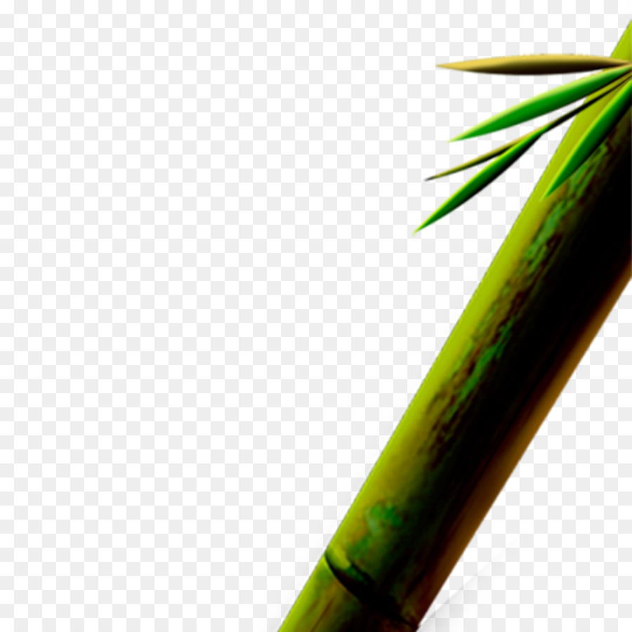 Bambú，Buscador PNG