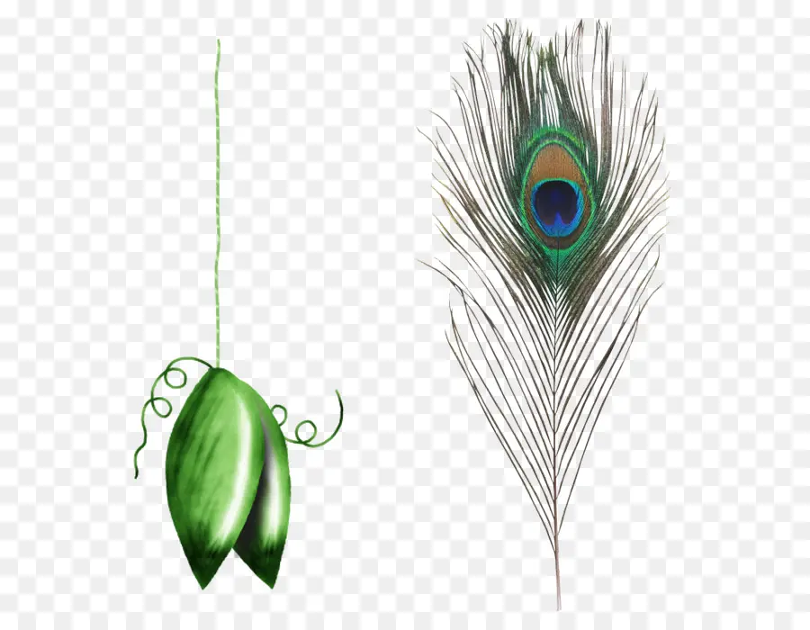 Pluma De Pavo Real，Verde PNG