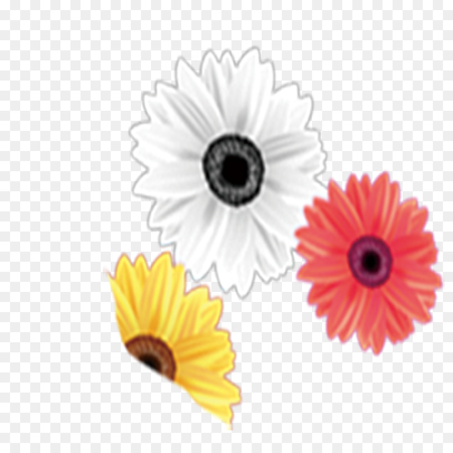 Flores，Florecer PNG