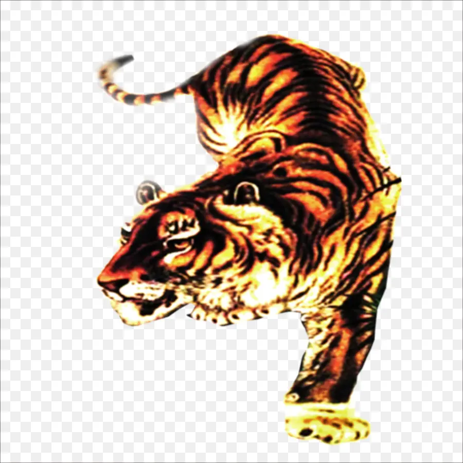 Tigre，Gato PNG