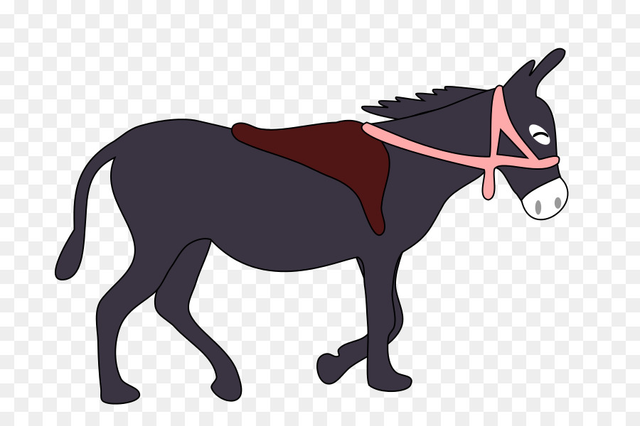 Mula，Burro PNG