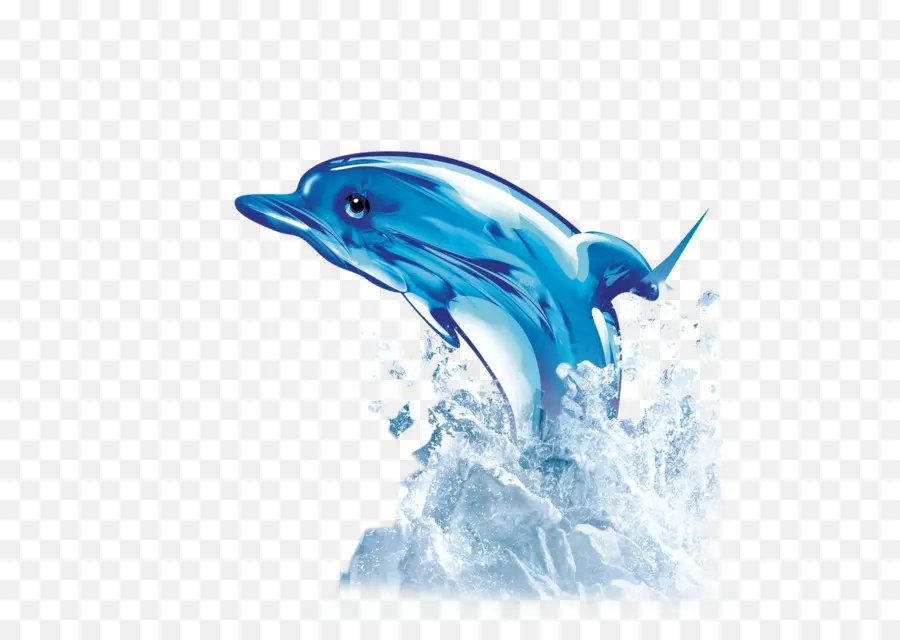 Dolphin，Descargar PNG