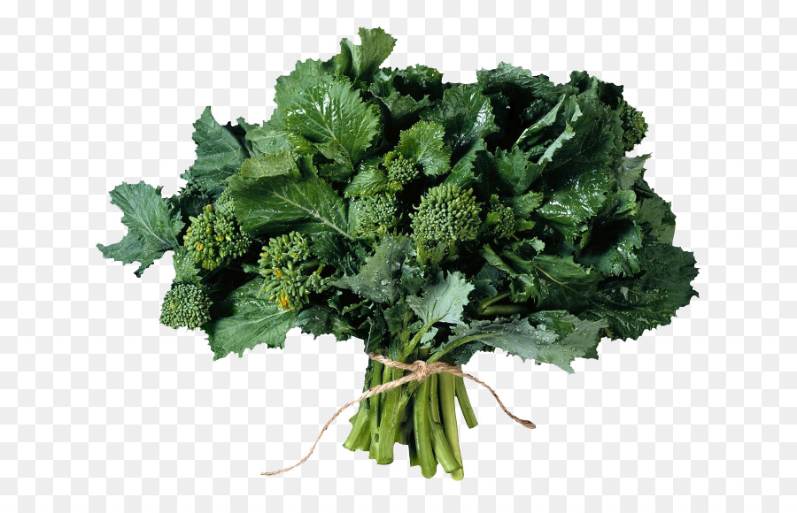 Brócoli Rabe，Verde PNG