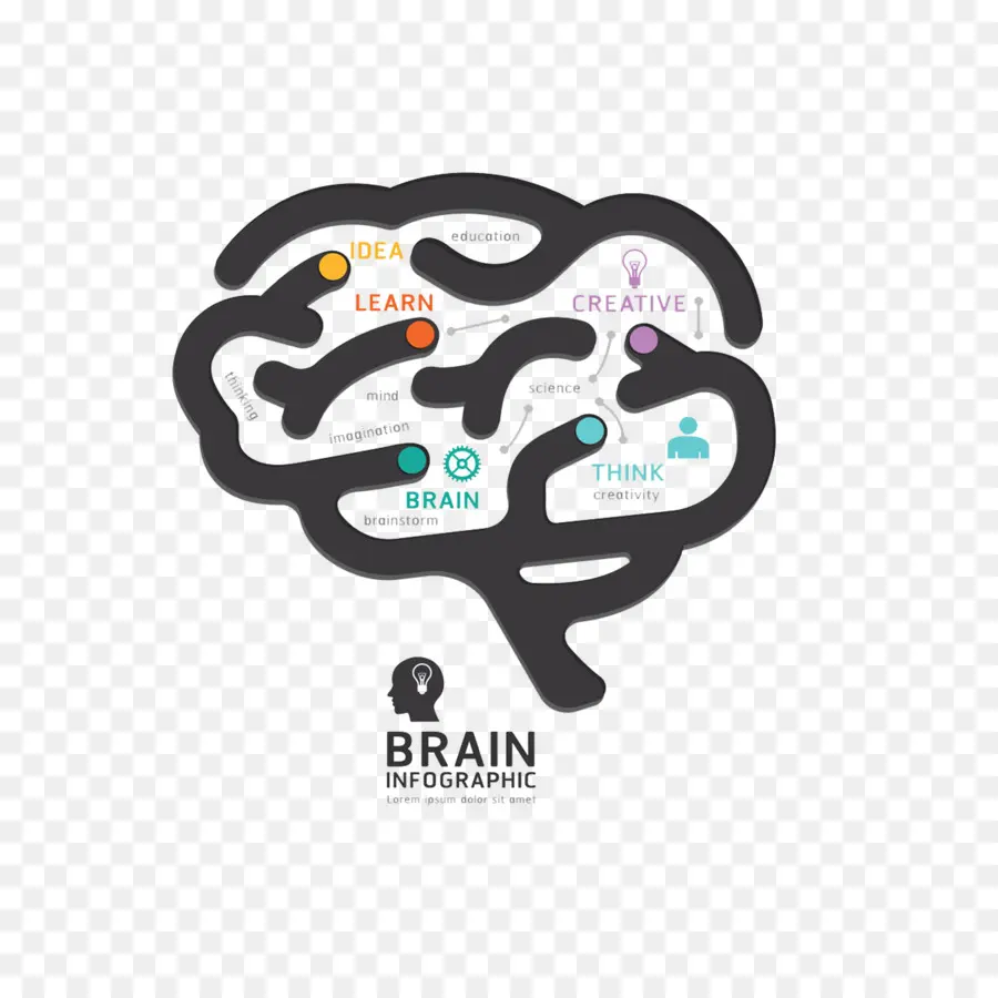 Cerebro，Diseño Gráfico PNG