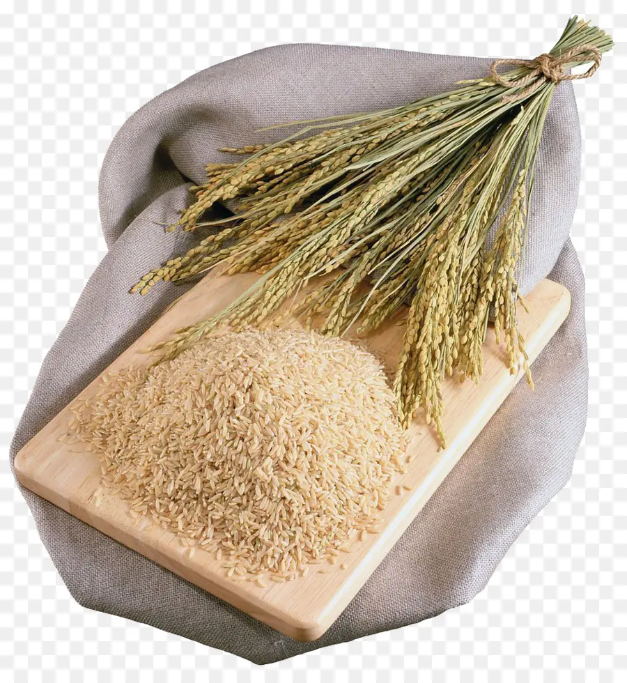 Arroz，Oryza Sativa PNG