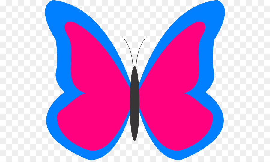 Mariposa，Libre De Contenido PNG