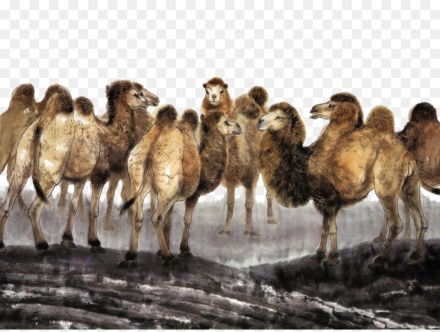 Camello，Pintura China PNG