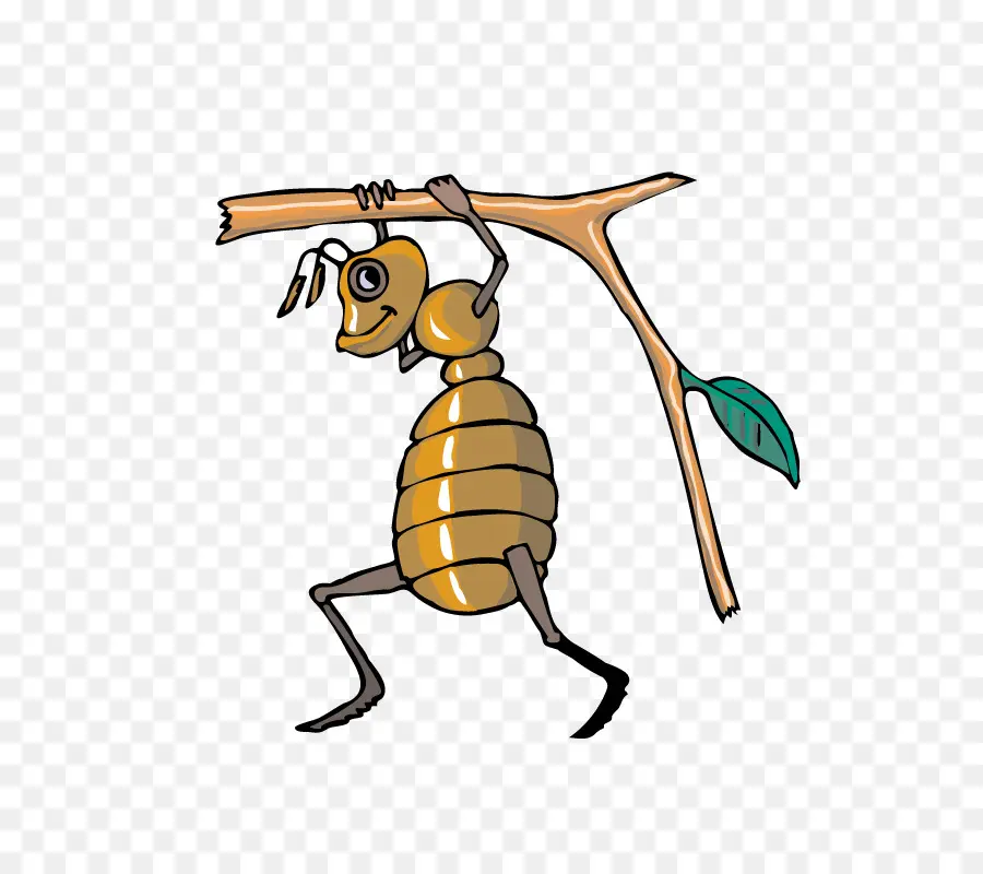 Abeja，Ant PNG