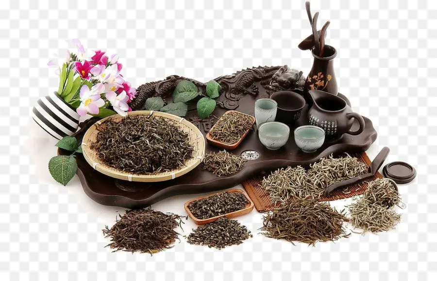 Té，Hojas PNG