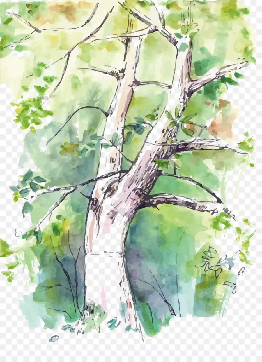 Ilustración De árbol，Naturaleza PNG