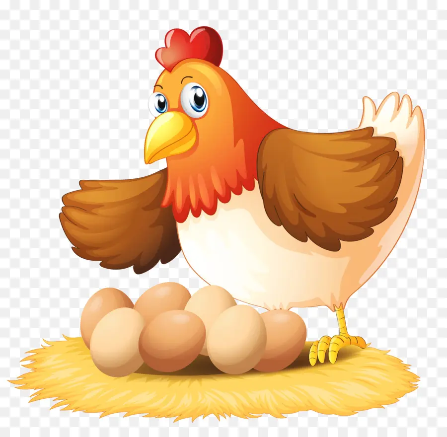 Pollo，Egg PNG