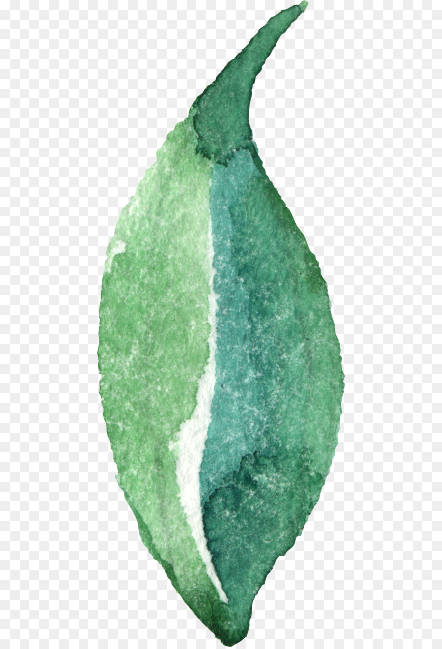 Hoja，Aloe Vera PNG