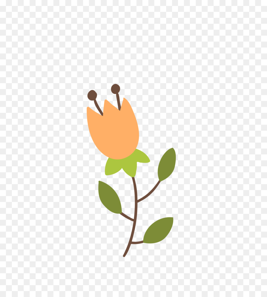 Flor，Provenir PNG