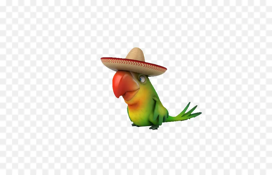 Loro Con Sombrero，Loro PNG