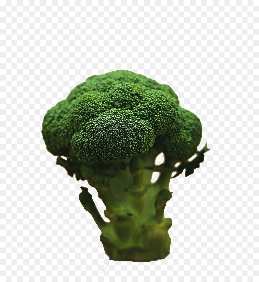 Brócoli，Vegetal PNG