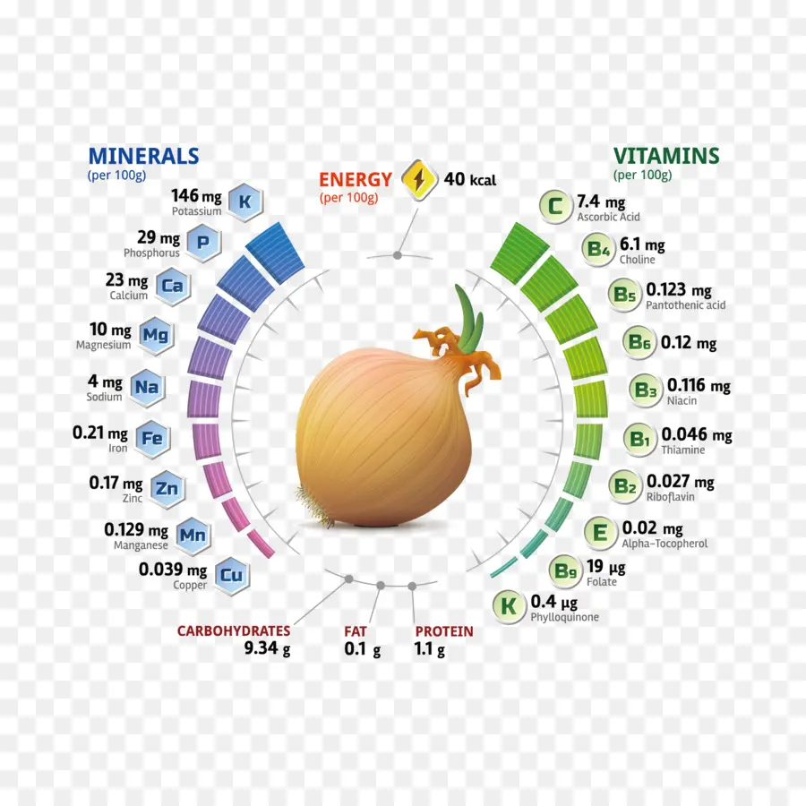 Nutrientes，La Chalota PNG