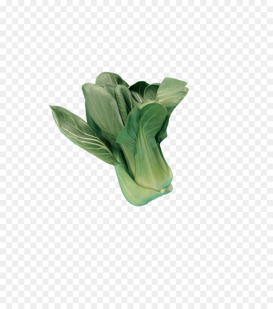 Bok Choy，Vegetal PNG