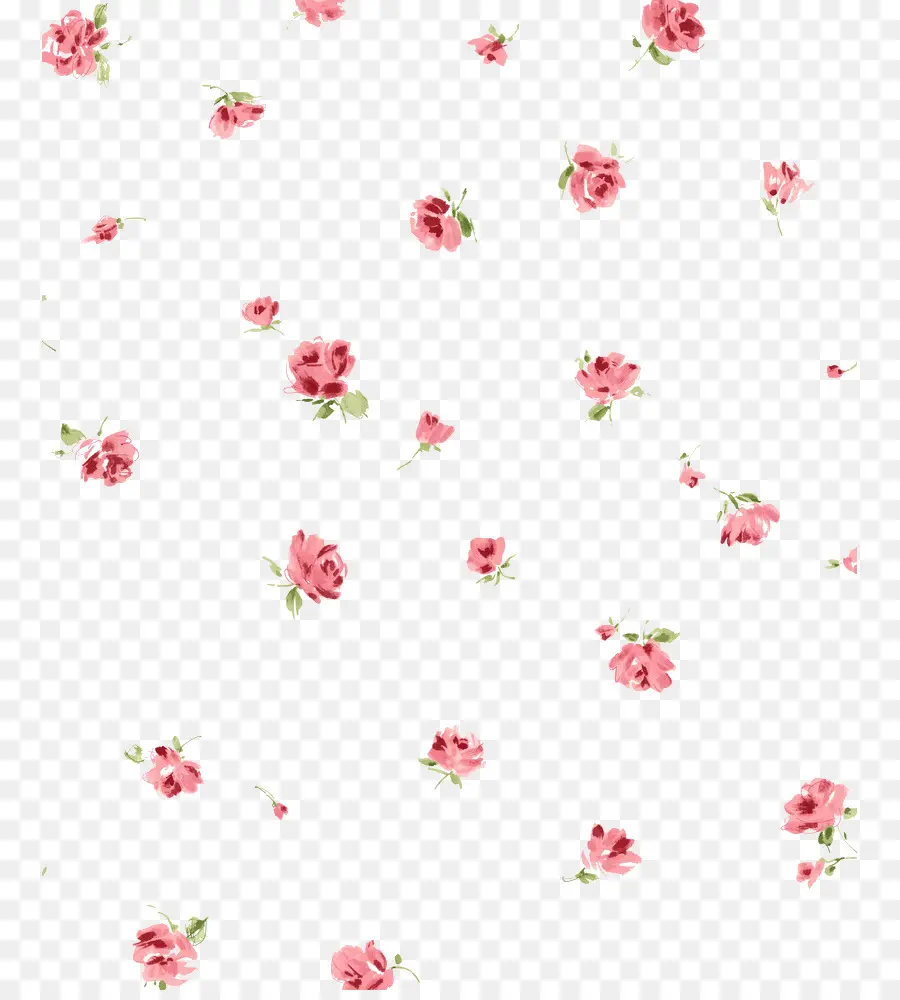 Flores Rosadas，Floral PNG