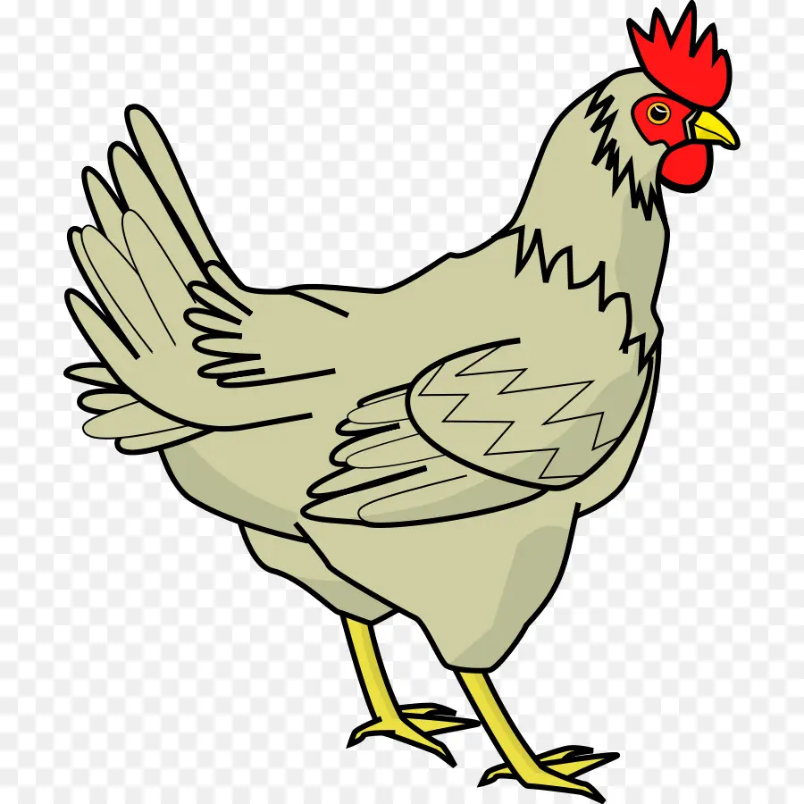 Pollo，La Carne De Pollo PNG