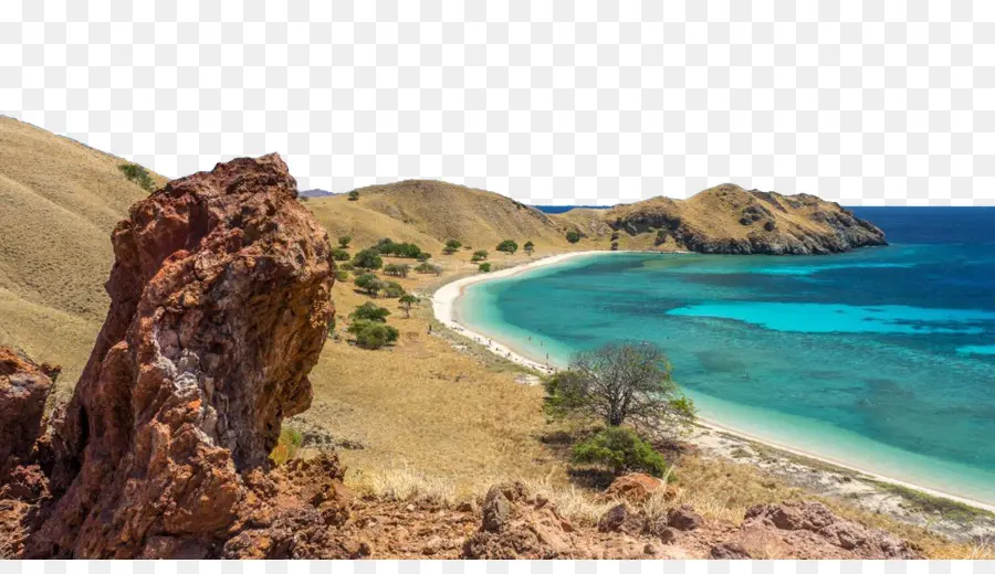 Komodo，Labuan Bajo PNG