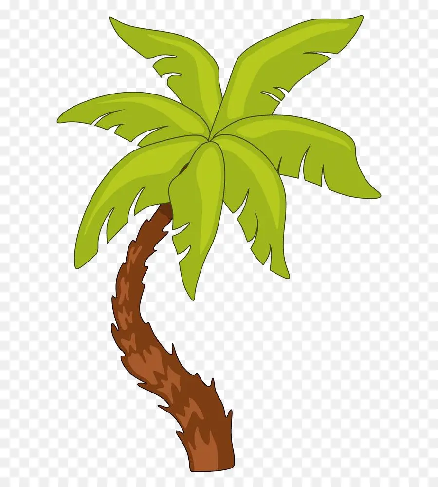 Arecaceae，árbol PNG