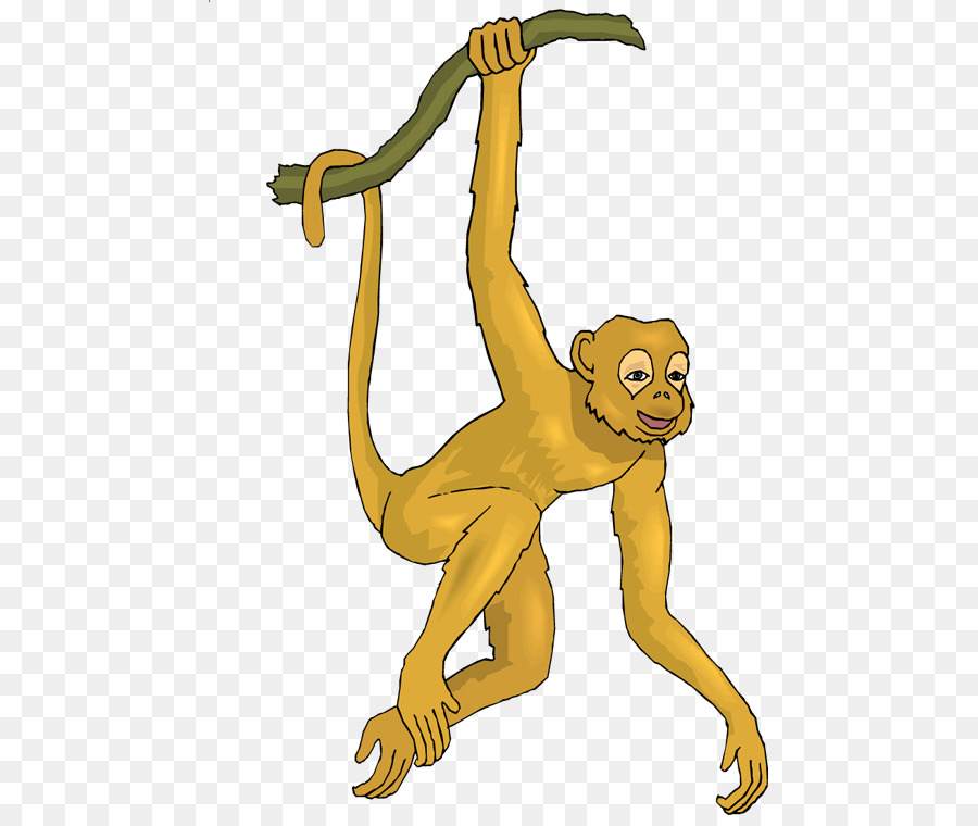 Mono，Mono Araña PNG