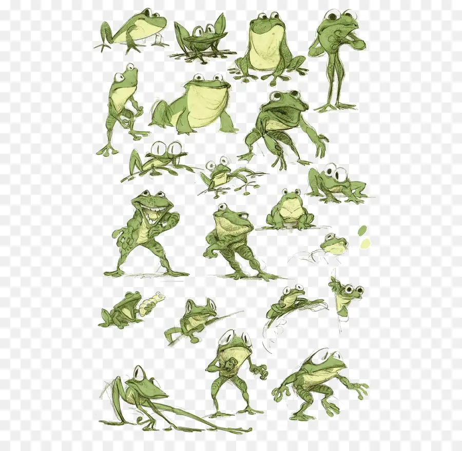 Bocetos De Ranas，Dibujos Animados PNG