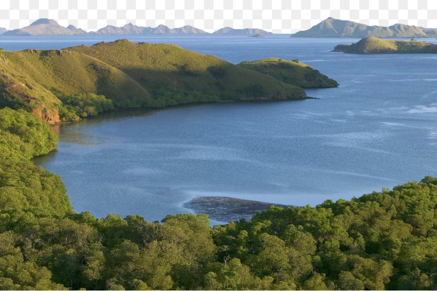 Komodo，Rinca PNG