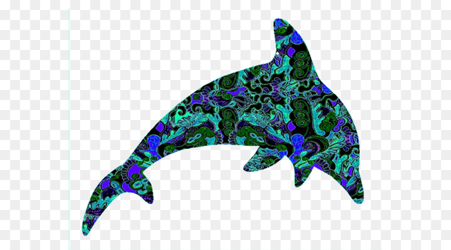 Dolphin，Arte PNG