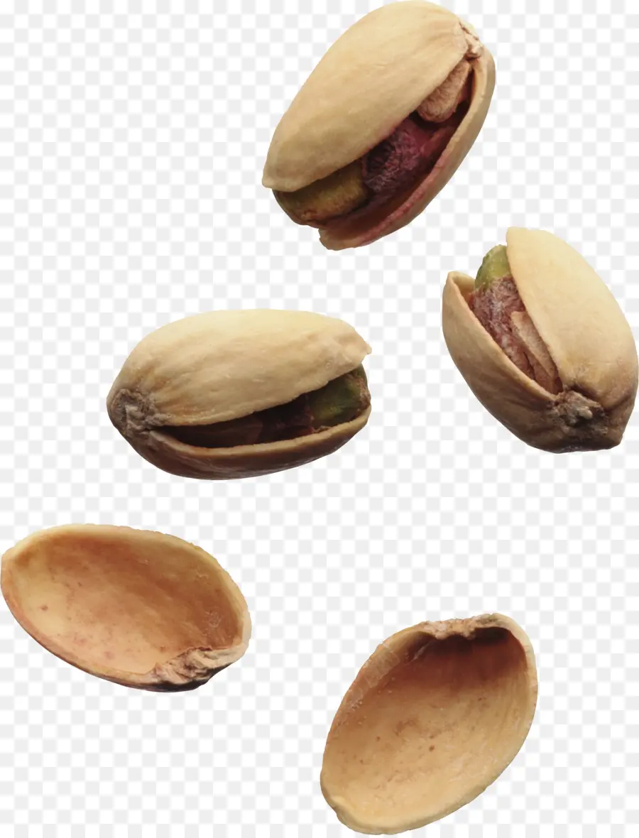 Pistacho，Tuerca PNG