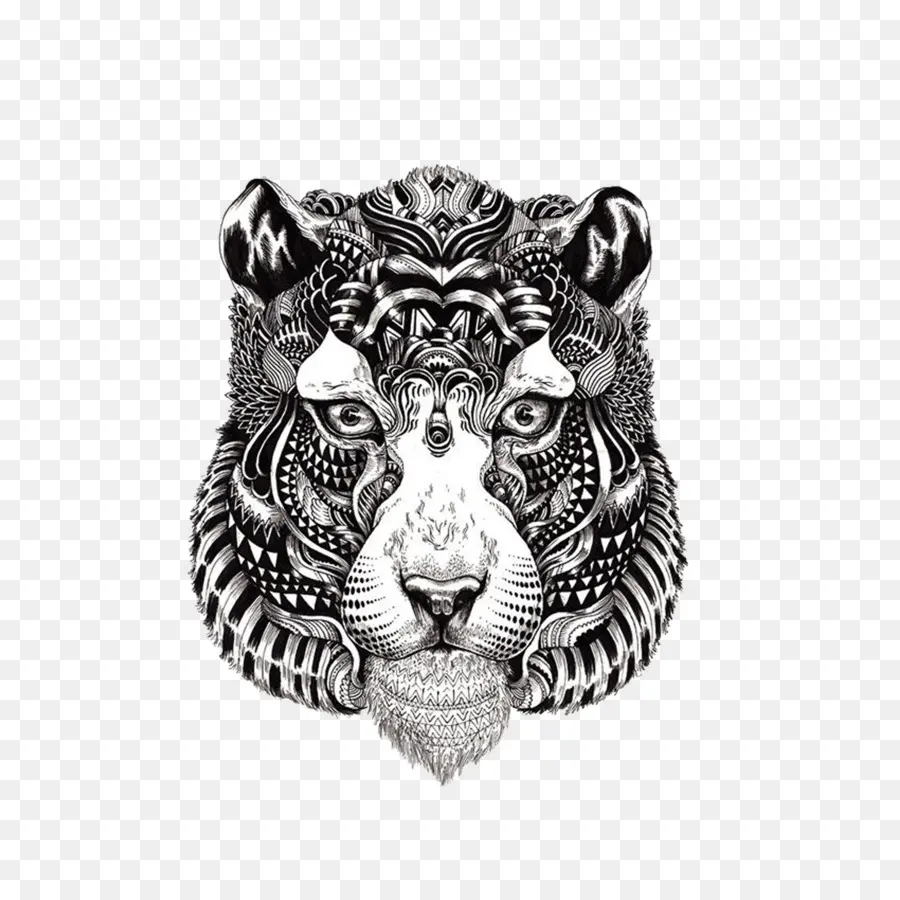 Tigre De Bengala，Libro Para Colorear PNG