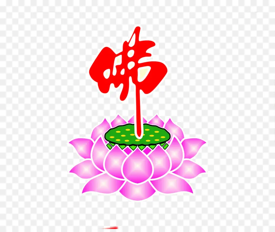 El Budismo，Nelumbo Nucifera PNG