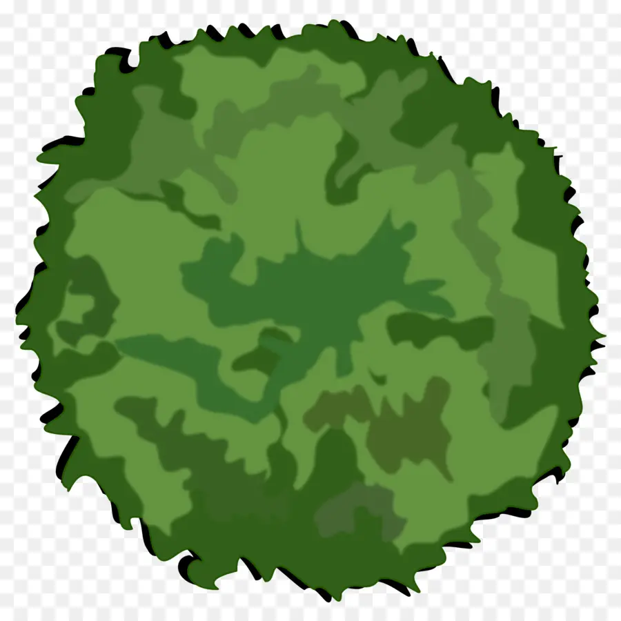 Arbusto Verde，Arbusto PNG