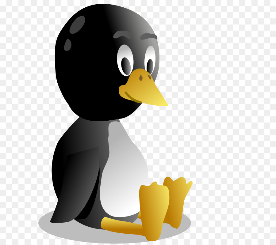 Pingüino，Pájaro PNG