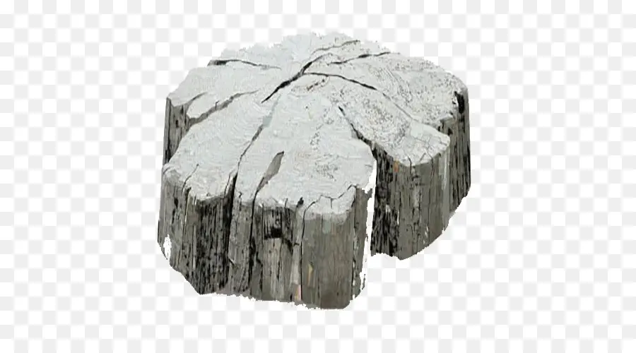 Tocón De árbol，Madera PNG