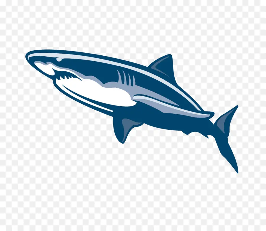 Tiburón，Pez PNG