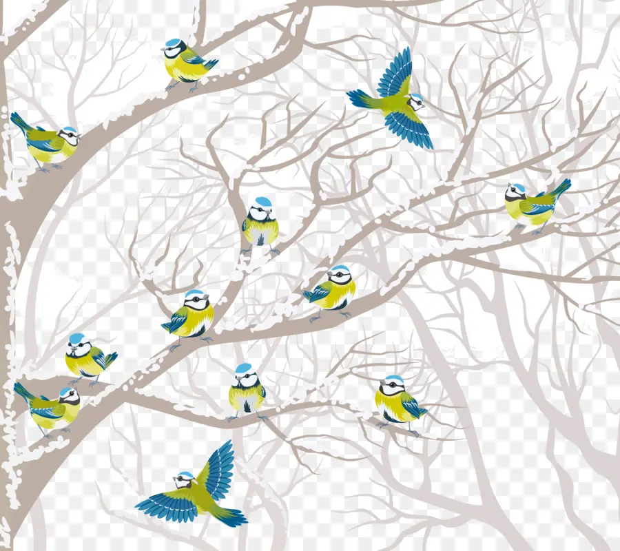 Aves，Árbol PNG