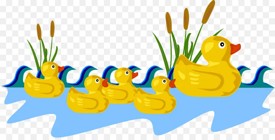 Patos，Agua PNG