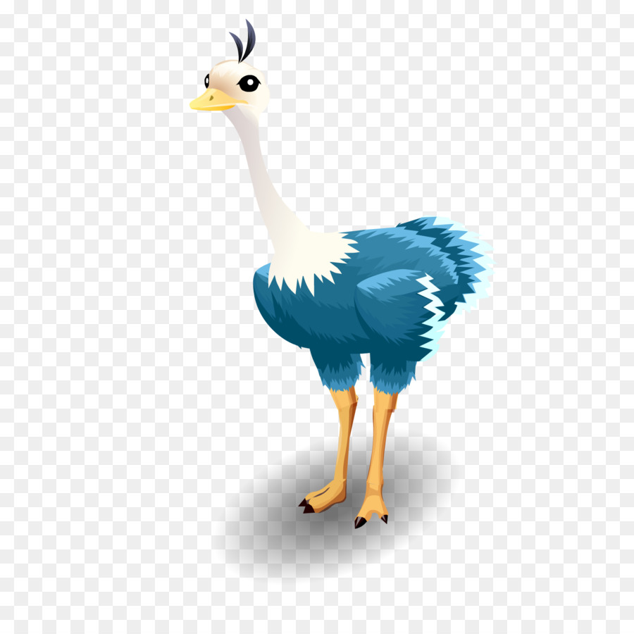 Común De Avestruz，Pájaro PNG