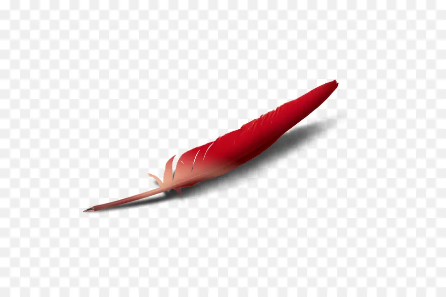 Pluma Roja，Pájaro PNG