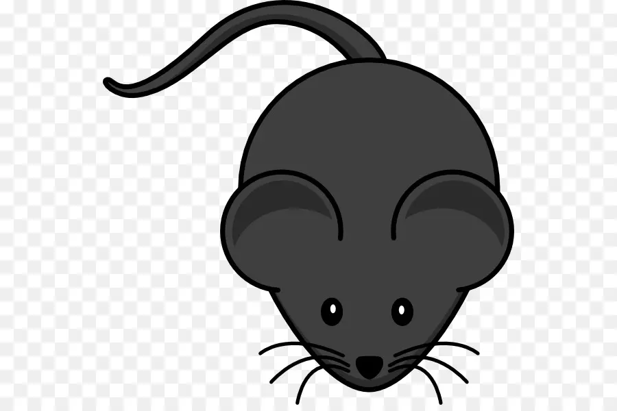 Ratón，El Ratón De La Computadora PNG