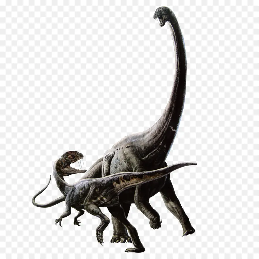 Tyrannosaurus，Juego De Dinosaurios PNG