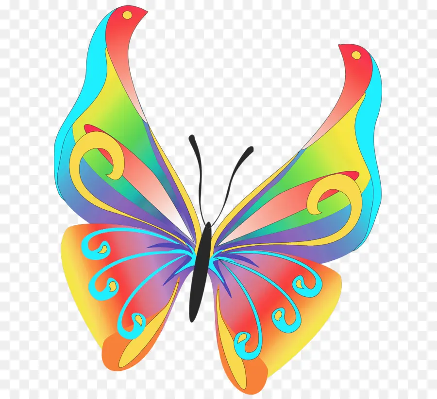 Mariposa，Dibujo PNG