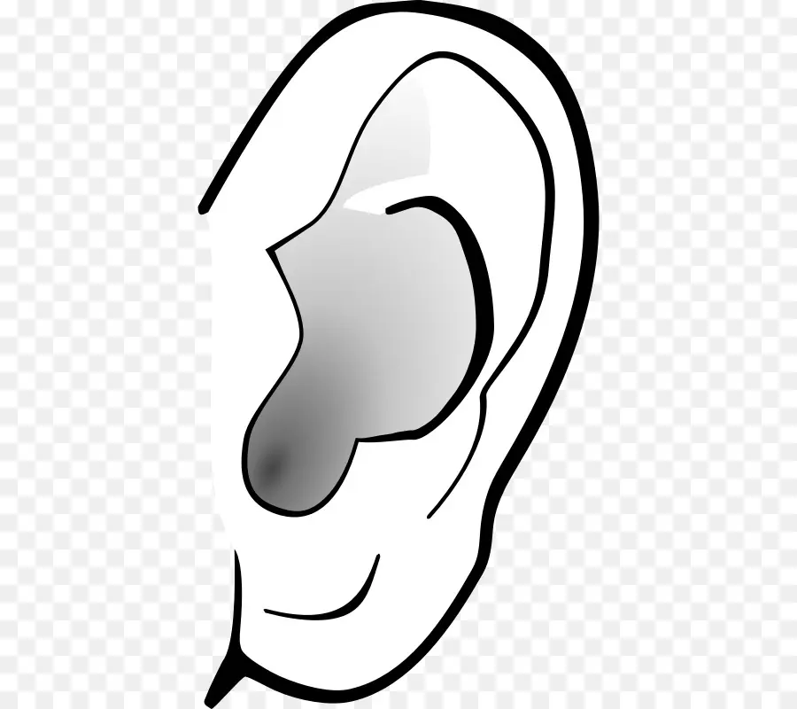 Oreja，Audiencia PNG